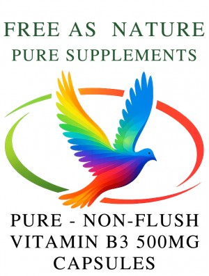 Pure Non-Flush Vitamin B3 500mg Capsules